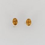 Citrine Earrings -EBA0027CTR/N118