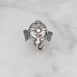 Plain Ring - RBA0114PN/N625