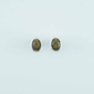 Tiger Eye Earrings - EBA0017TGR/N128