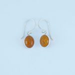 Amber Earrings - EBA0009AMR