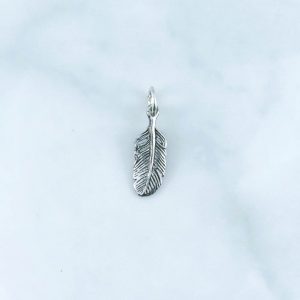 Plain Pendant - PBA0054PN/N30