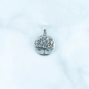 Plain Pendant - PBA0056PN/N68