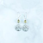 Citrine Earrings -EBA0035CTR/N223