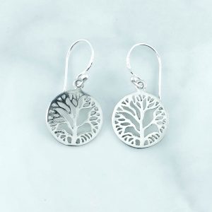 Plain Earrings - EBA0119PN/N84