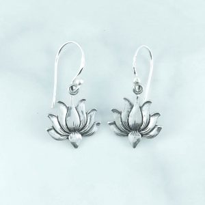 Plain Earrings - EBA0125PN/N140