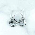 Plain Earrings - EBA0268PN/N43