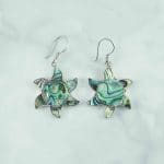 Abalone Earrings - EBA0064ABL/N95