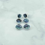 Abalone Earrings - EBA0068ABL/N162