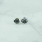 Abalone Earrings - EBA0078ABL/N78