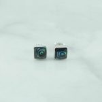 Abalone Earrings - EBA0079ABL/N65