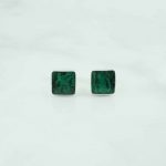 Abalone Earrings - EBA0136ABL/N70