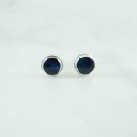 Abalone Earrings - EBA0140ABL/N92