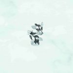 Moonstone Ring - RBA0078MS/N282