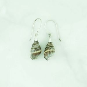 Shell Earring - EBA0008SL/N60